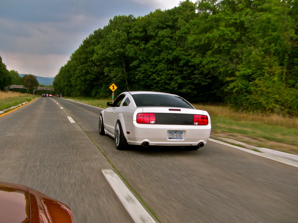 photo 13 Ford Mustang custom wheels Saleen  20x9.0, ET 0, tire size 235/35 R20. 20x10.0 ET+20 255/35 R20
