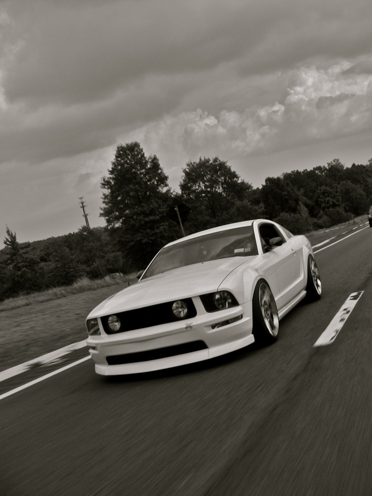 photo 15 Ford Mustang custom wheels Saleen  20x9.0, ET 0, tire size 235/35 R20. 20x10.0 ET+20 255/35 R20