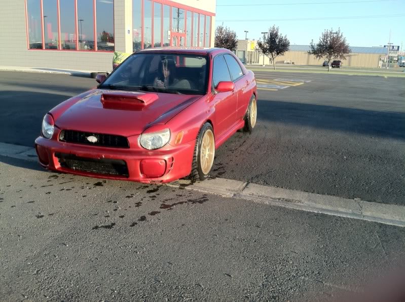 photo 1 Subaru Impreza custom wheels Rota D-Force 18x9.5, ET +40, tire size 265/35 R18. x ET