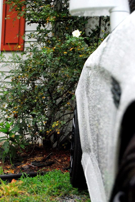 photo 5 Hyundai Tiburon custom wheels Rota G-Force 18x9.0, ET +30, tire size 225/40 R18. x ET