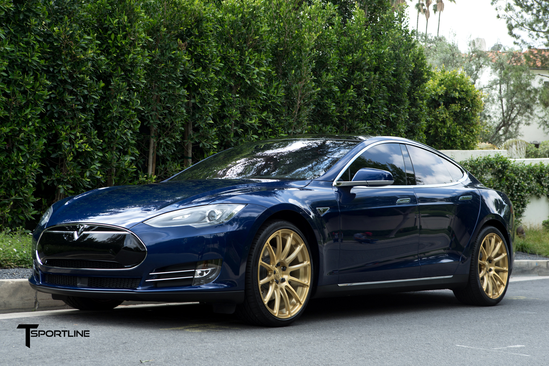 photo 1 Tesla Model S custom wheels TSportline 112 21x9.0, ET , tire size X R21. 21x9.5 ET