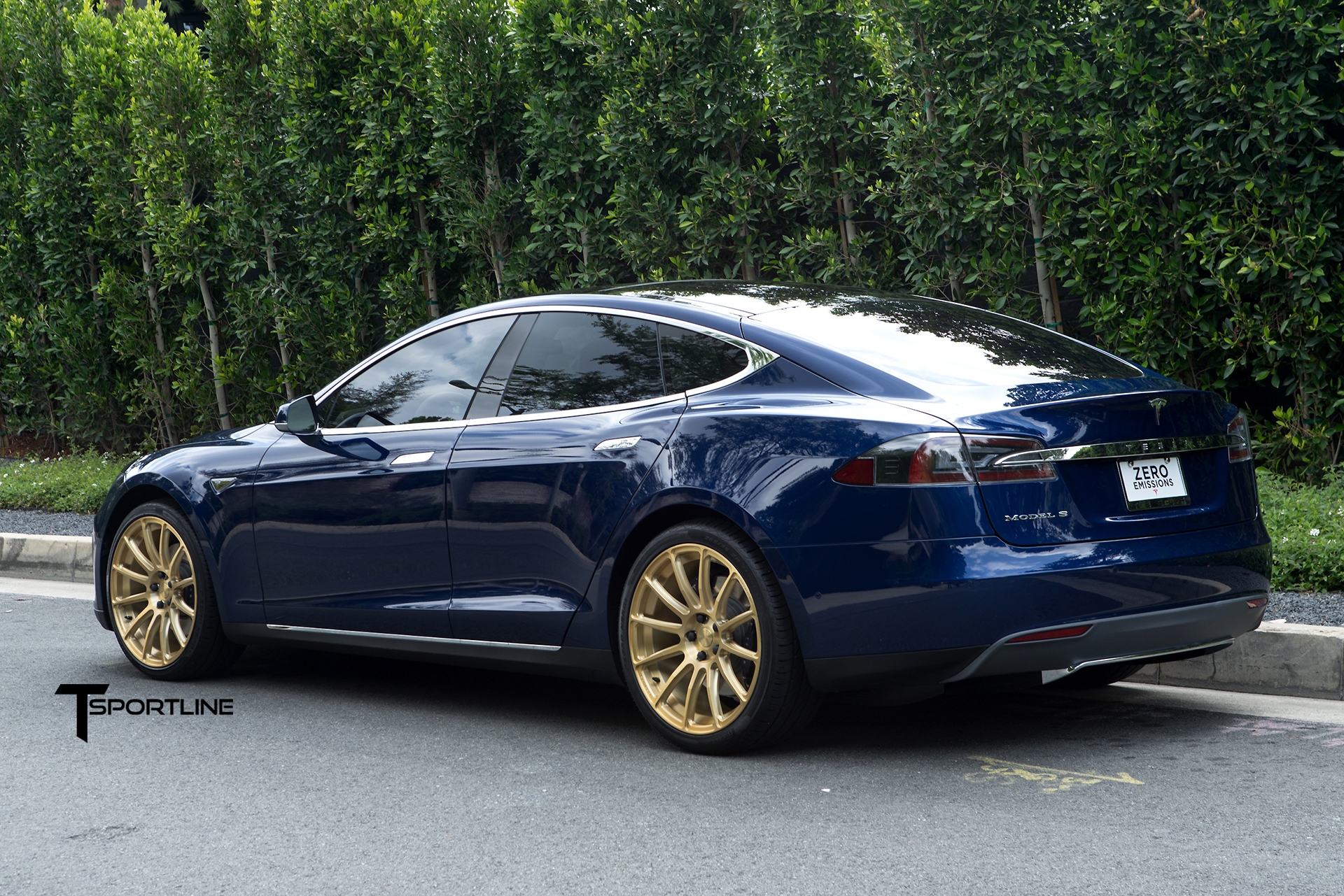 photo 2 Tesla Model S custom wheels TSportline 112 21x9.0, ET , tire size X R21. 21x9.5 ET