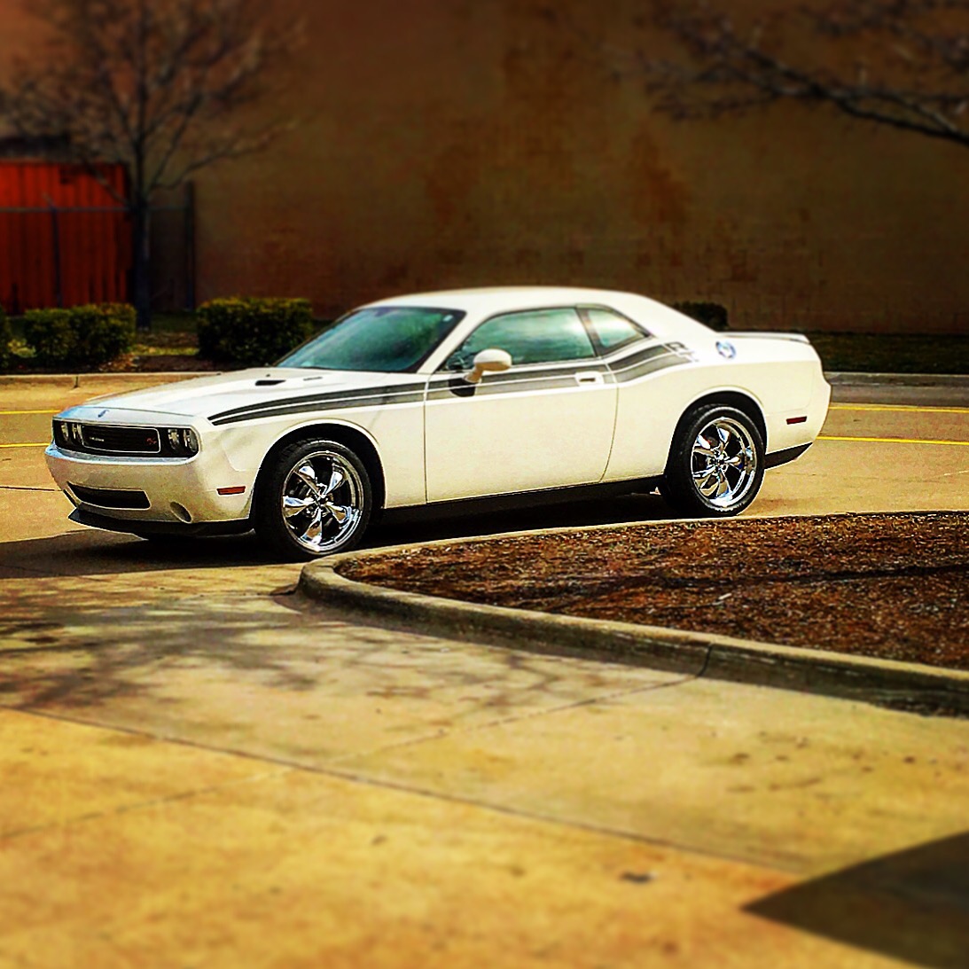 photo 1 Dodge Challenger custom wheels American Racing Torq Thrust M 20x8.5, ET +18, tire size 245/40 R20. 20x10.0 ET+18 305/35 R20