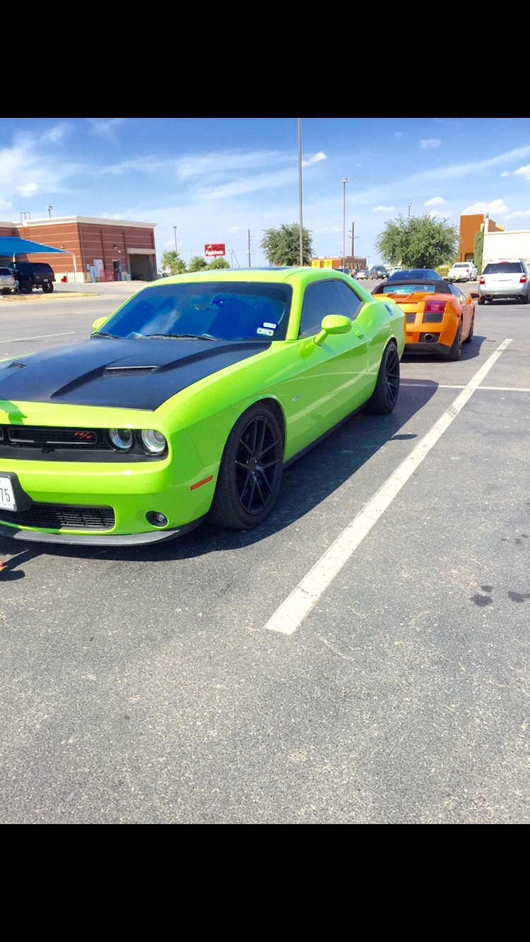 photo 1 Dodge Challenger custom wheels Niche Targa 20x9.0, ET , tire size 245/45 R20. 20x10.5 ET 295/45 R20