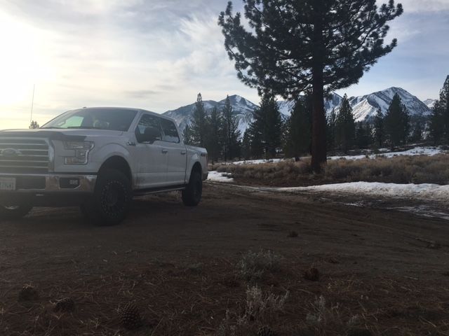 photo 1 Ford F-150 custom wheels Pro Comp 5034 18x9.0, ET 0, tire size 275/70 R18. x ET