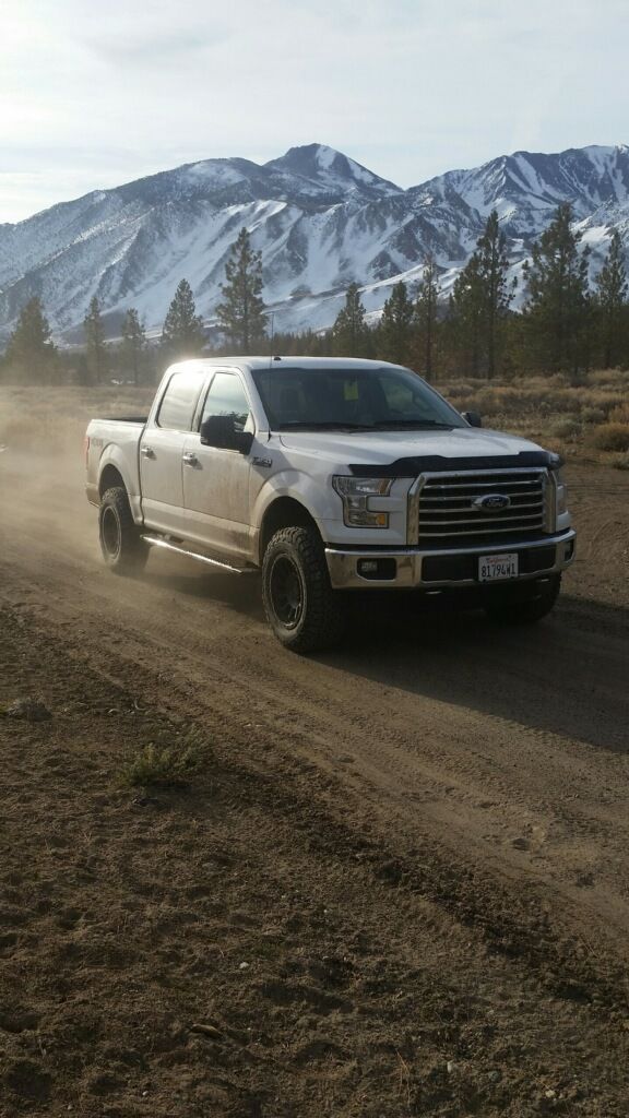 photo 2 Ford F-150 custom wheels Pro Comp 5034 18x9.0, ET 0, tire size 275/70 R18. x ET