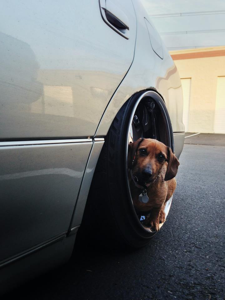 photo 4 Lexus GS 300 custom wheels Work LS207 18x10.0, ET 0, tire size 215/35 R18. 18x11.0 ET0 225/40 R18