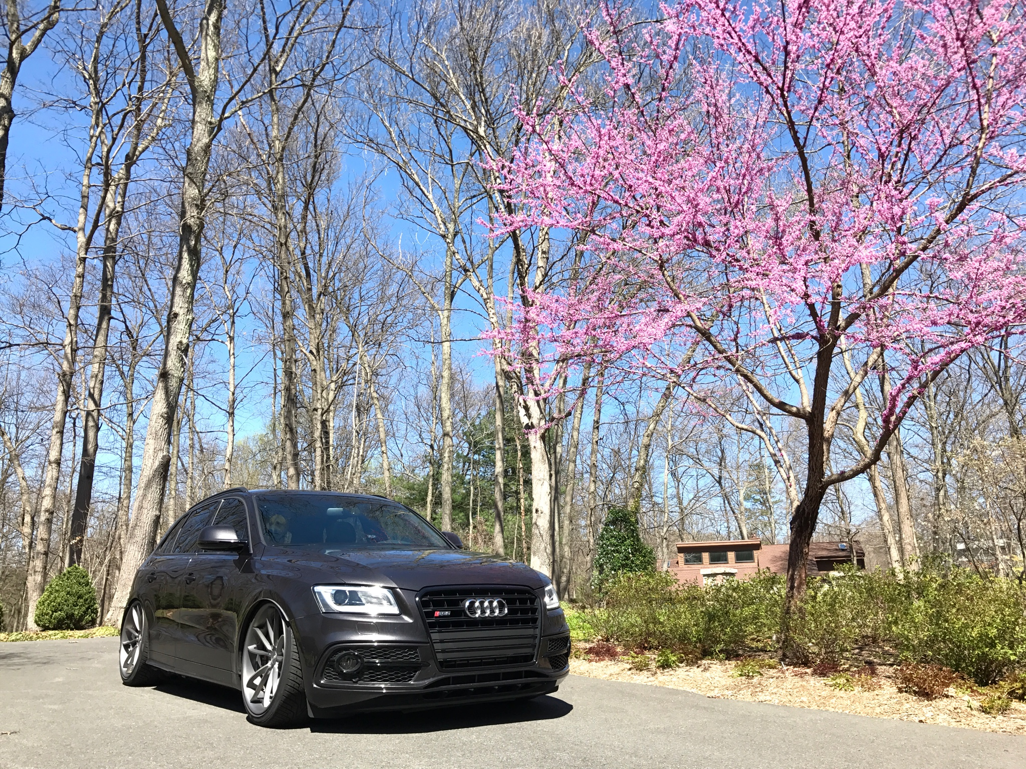 photo 1 Audi SQ5 custom wheels BLK  22x10.0, ET +35, tire size X R22. x ET