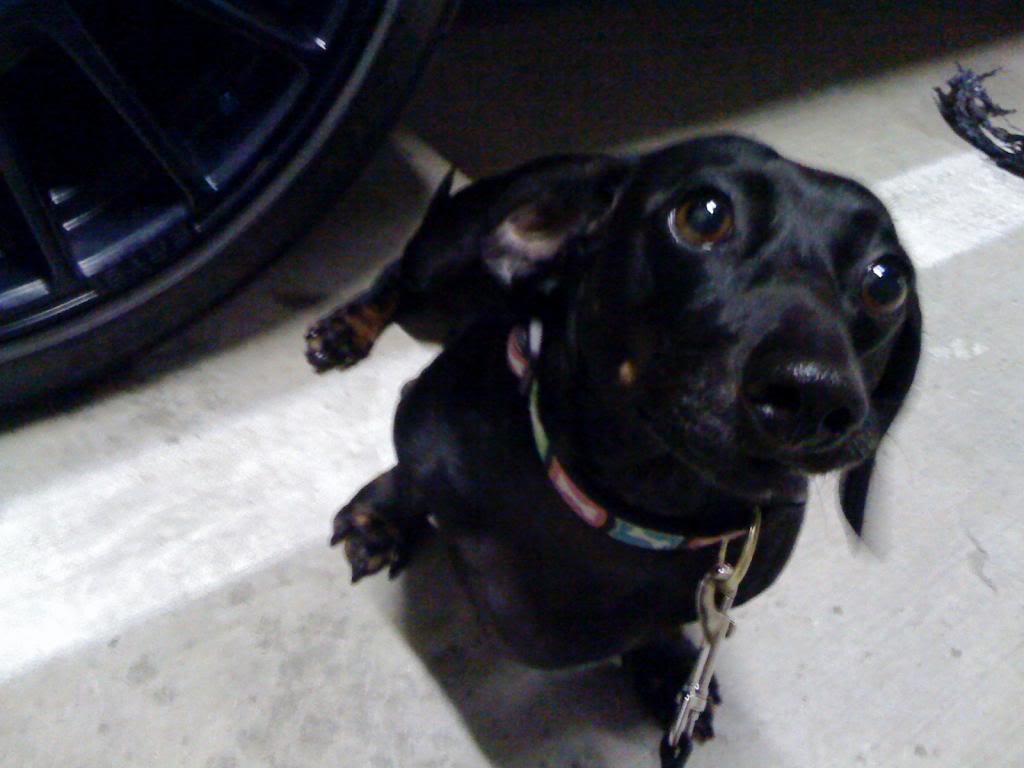 photo 3 Mitsubishi Lancer Evolution custom wheels Rays 57 Motorsport G07WT 17x9.0, ET +30, tire size X R17. x ET