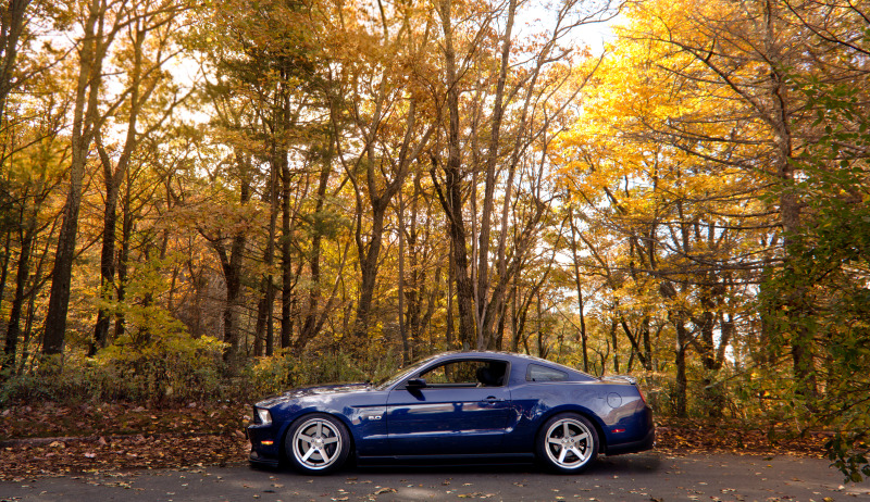 photo 8 Ford Mustang custom wheels Stance  SC-5 19x9.5, ET , tire size 255/40 R19. x ET