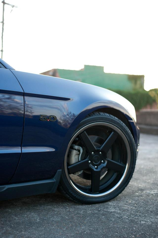 photo 1 Ford Mustang custom wheels Niche Nurburg 20x9.0, ET +30, tire size 255/35 R20. 20x10.0 ET+40 315/35 R20