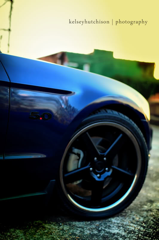 photo 2 Ford Mustang custom wheels Niche Nurburg 20x9.0, ET +30, tire size 255/35 R20. 20x10.0 ET+40 315/35 R20