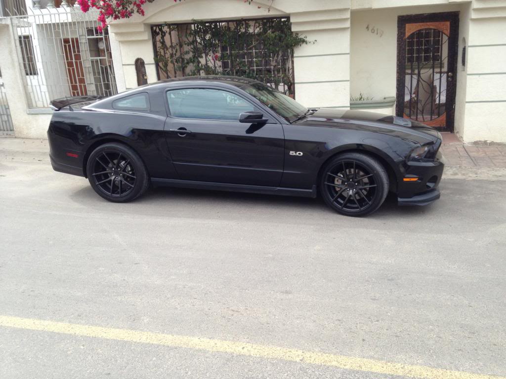 photo 1 Ford Mustang custom wheels Niche  Targa 20x8.5, ET , tire size 255/35 R20. 20x10.0 ET 295/35 R20