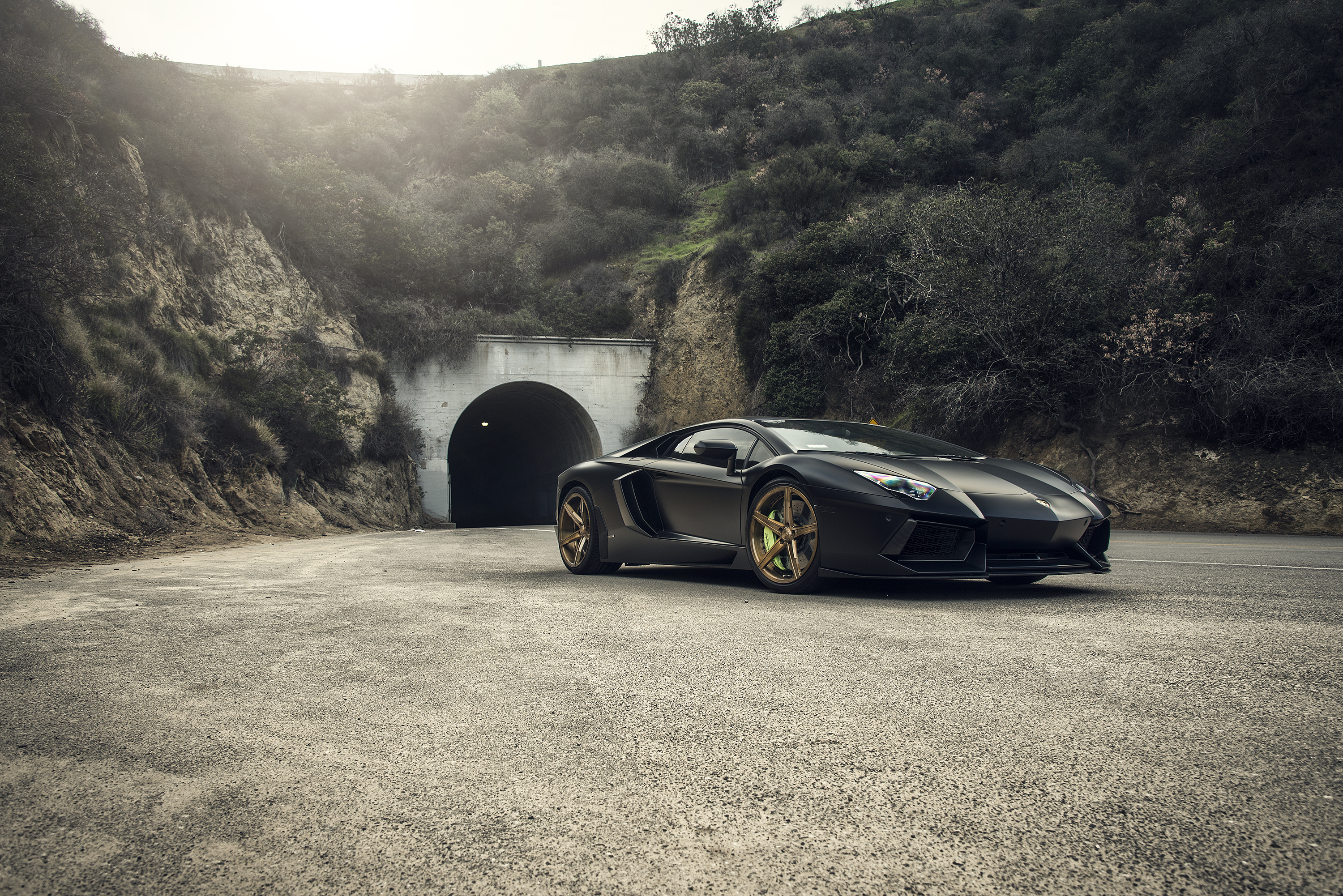 photo 1 Lamborghini Aventador custom wheels SAVINI  20x, ET , tire size X R20. 21x ET